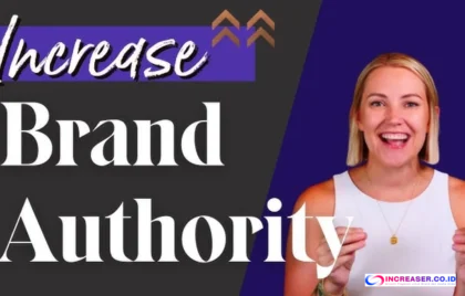 niche authority strategy