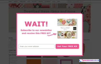 exit intent popup website