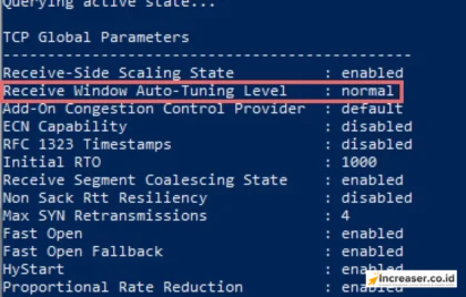 TCP/IP Tuning Server