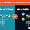 shared vs managed wordpress hosting